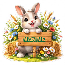 Sticker lapin personnalisé avec prénom, autocollant vinyle doux pour décoration chambre bébé et enfant