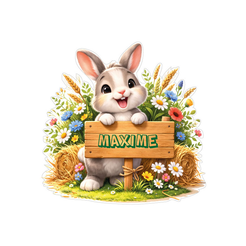 Sticker lapin personnalisé avec prénom, autocollant vinyle doux pour décoration chambre bébé et enfant