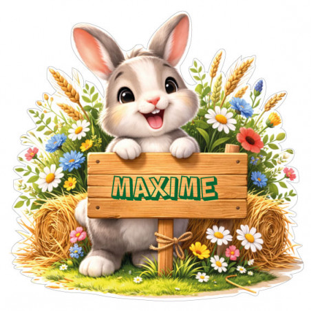 Sticker lapin personnalisé avec prénom, autocollant vinyle doux pour décoration chambre bébé et enfant