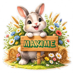 Sticker lapin personnalisé avec prénom, autocollant vinyle doux pour décoration chambre bébé et enfant