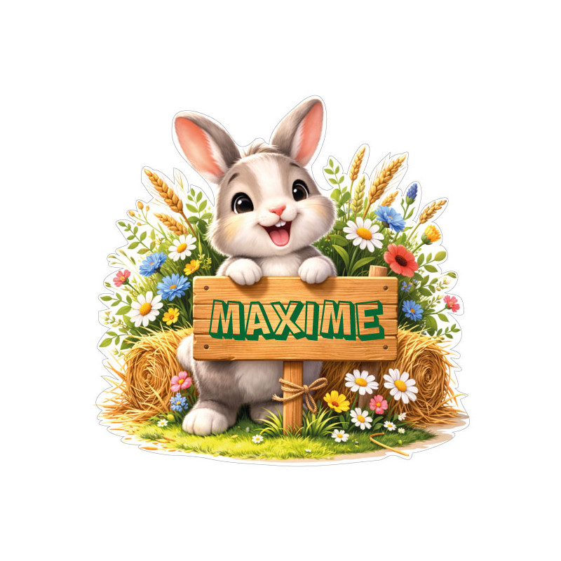 Sticker lapin personnalisé avec prénom, autocollant vinyle doux pour décoration chambre bébé et enfant