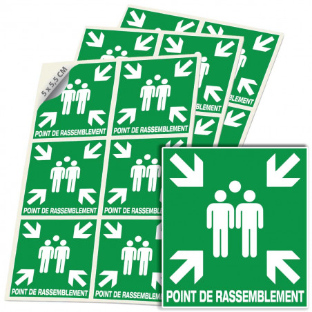 Sticker point de rassemblement E007 ISO 7010 signalisation évacuation